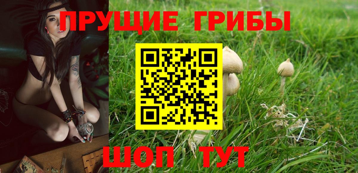 Галлюциногенные грибы ЛСД  купить   Псилоцибиновые грибы ЛСД  Ачхой-Мартан  Вход с VPN 
